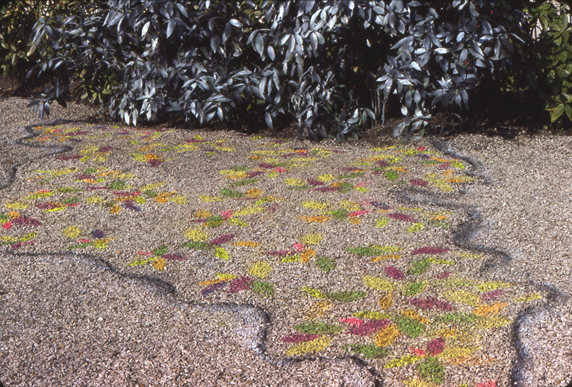 Catalogue raisonné, Bernadette Delrieu, Sols - 1984