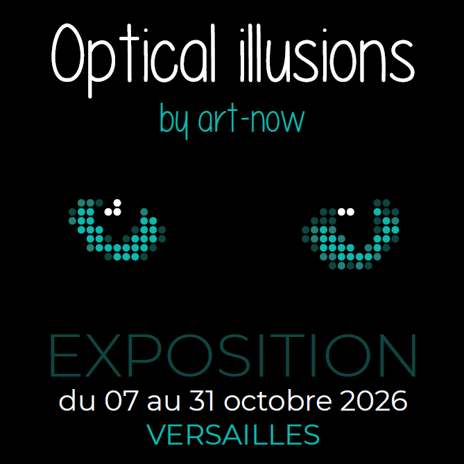 Exposition "Optical Illusions" à Versailles