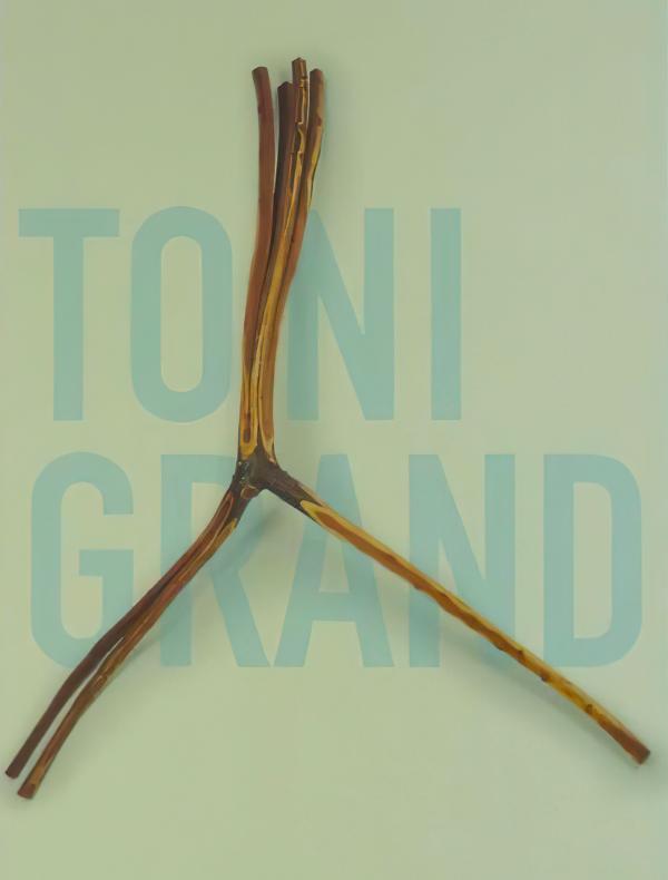 Affiche Toni Grand, Atelier Brancusi