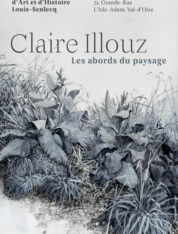 Claire Illouz. Les abords du paysage