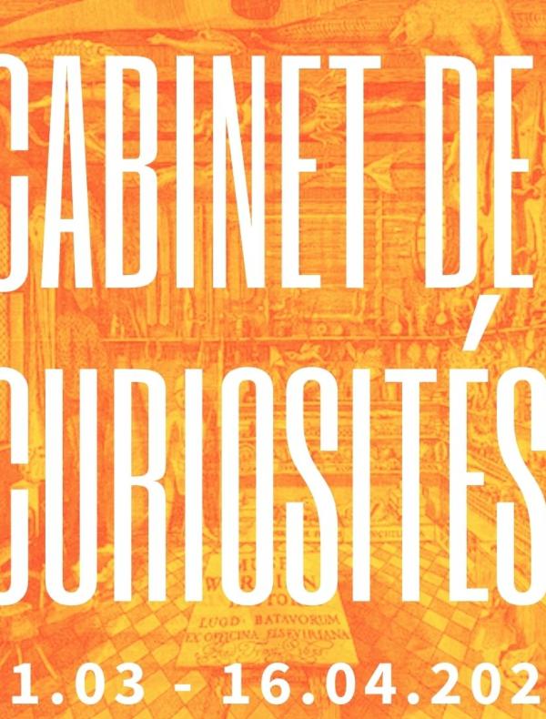 Vernissage : " Cabinet de curiosités, collection de vanités contemporaines "