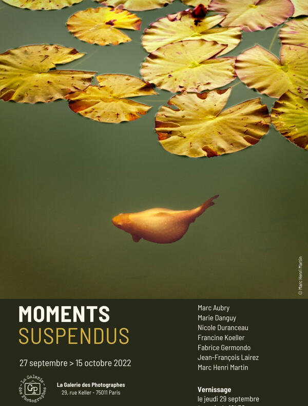 exposition Moments suspendus