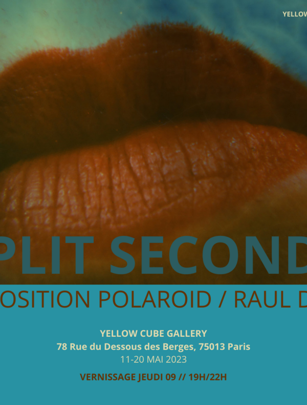 Split seconds, Exposition Polaroïd Raul Diaz