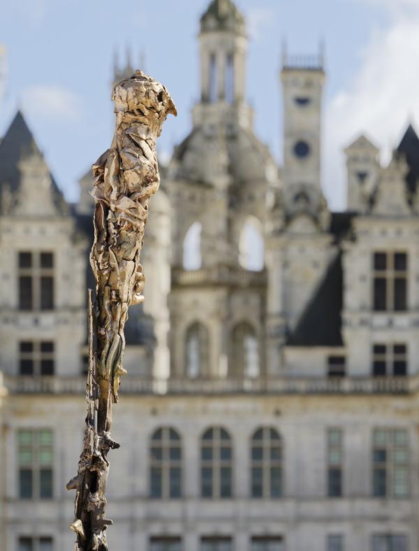 Lionel Sabatté, Champ d'oiseau, 2023, Chambord © Aurélien Mole