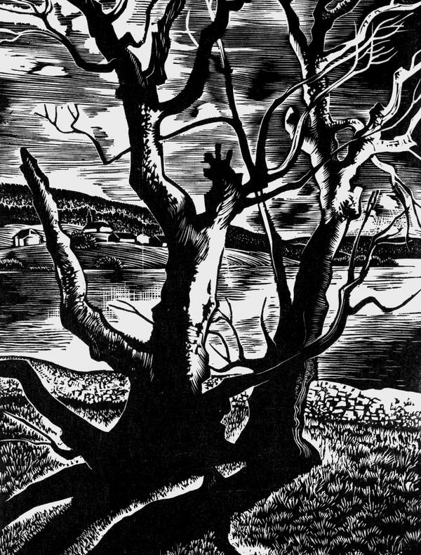 Pierre Aubert (1910–1987), Saules au lac de Joux, 1959, gravure sur bois de fil. Musée Jenisch Vevey – Cabinet cantonal des estampes, Fondation Pierre Aubert