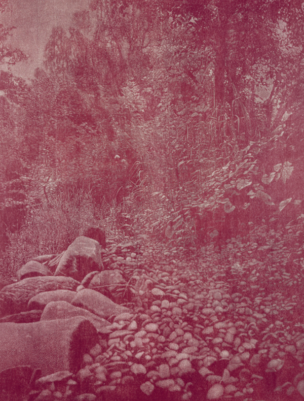 Franz Gertsch (1930–2022), Rüschegg, 1988–1989, gravure sur bois sur papier, 2740 × 2200 mm