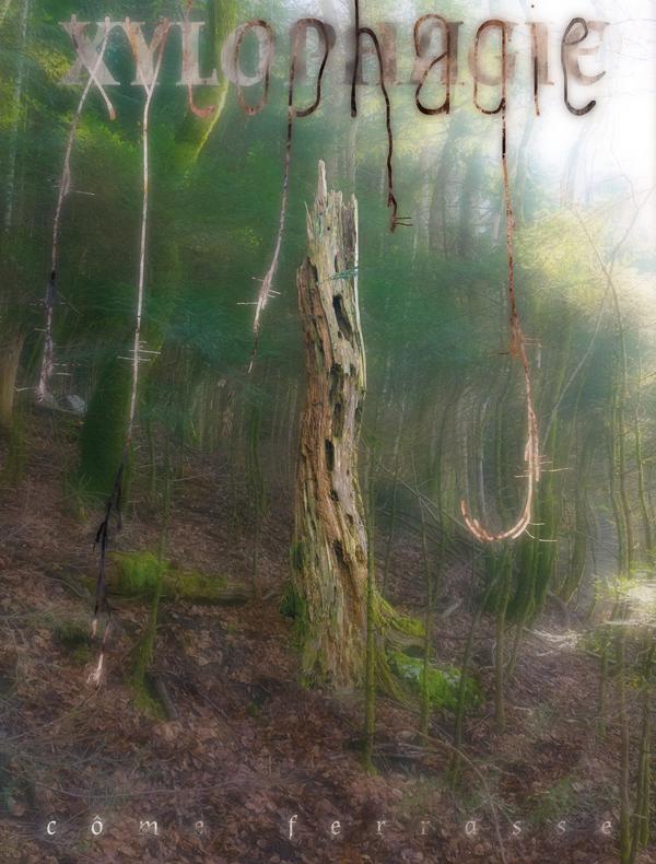 affiche de la performance "Xylophagie" de Côme Ferrasse