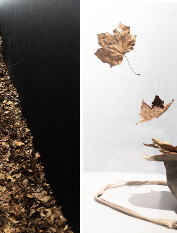 Image de gauche : Un couloir étroit aux parois noires remplies de feuilles mortes brunes qui s’étendent en profondeur, formant un tapis dense. La perspective centrale attire l'œil vers le fond du passage, créant une impression de profondeur et de confinement. L’ambiance est sombre et mystérieuse, évoquant peut-être un passage symbolique ou une installation artistique immersive. Image de droite : Trois feuilles mortes suspendues par des fils presque invisibles semblent flotter dans les airs, au-dessus d’un 