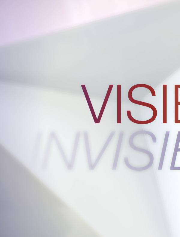 Visible / Invisible