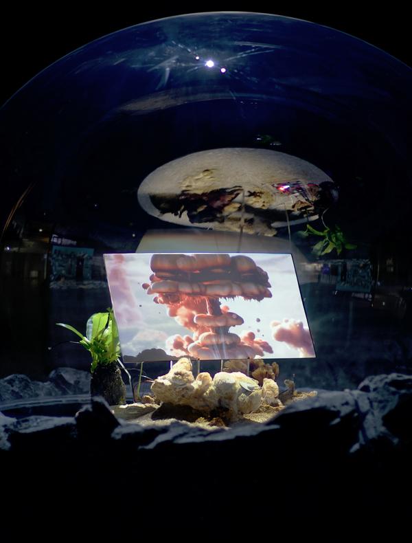 Yue Cheng, Sphère 3 L’île et l’insulation, installation, 2025, Production Le Fresnoy – Studio national des arts contemporains.jpg