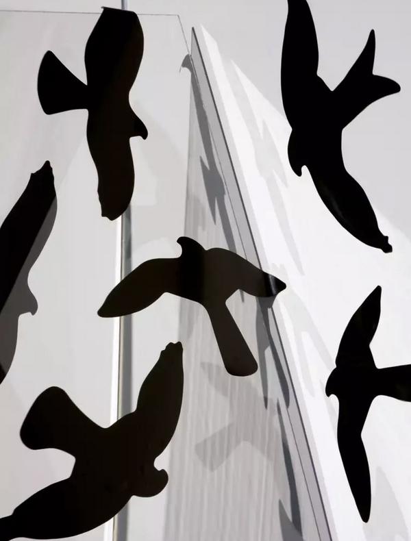 Autocollants d'oiseaux sur vitre