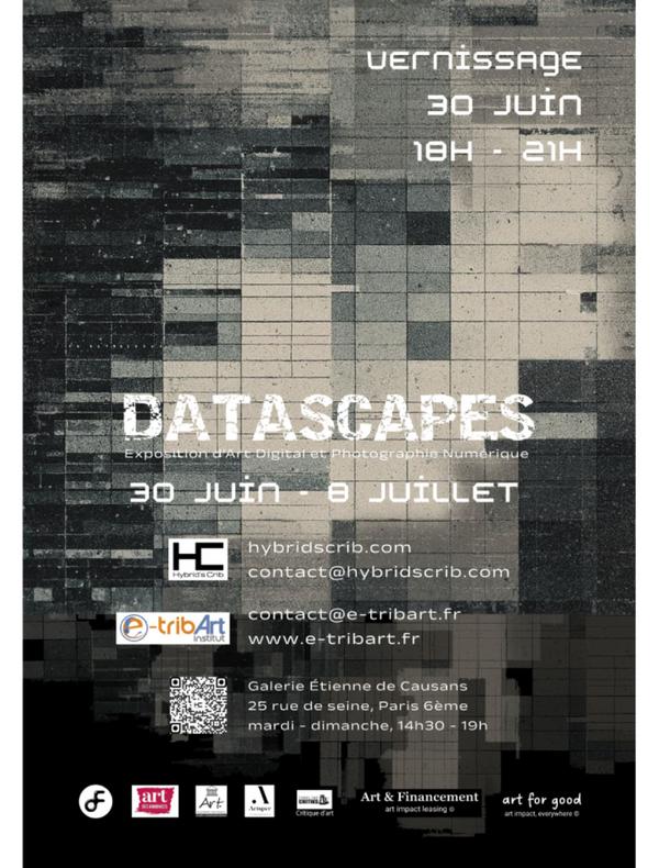 Datascapes, 2026, Collage digital