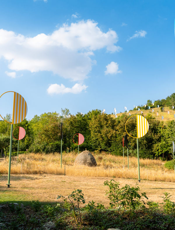 Invitation à Daniel Buren, « Plantations » : travaux in situ, 2026 / Collections