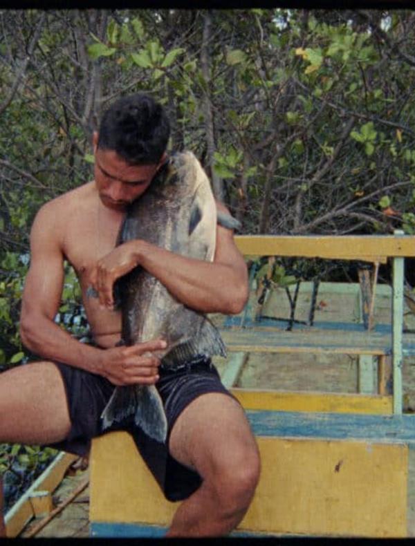 Jonathas de Andrade — Gueule de bois tropicale et autres histoires