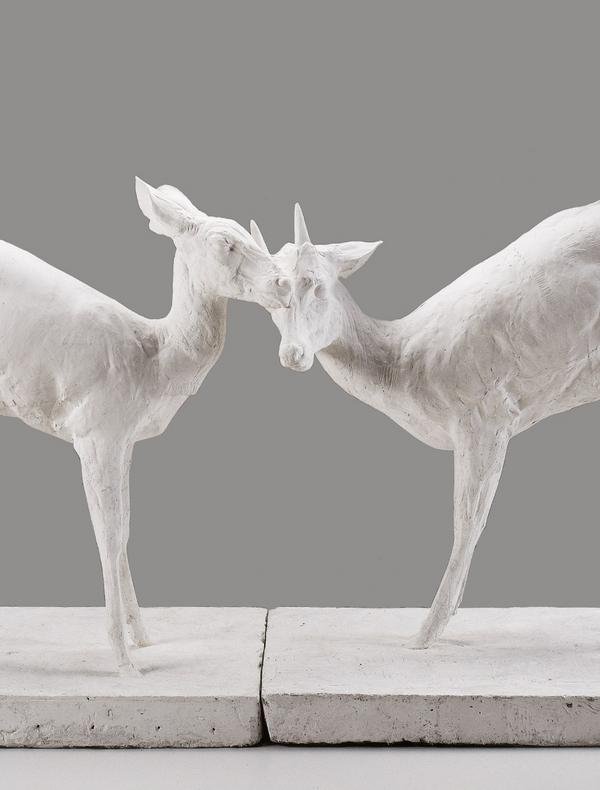 L'état sauvage. L'animal dans les collections du MAMCS et du Musée Zoologique