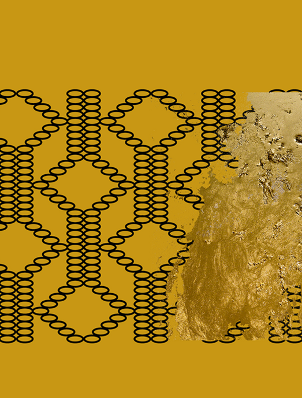 Persistances – Hassan Darsi