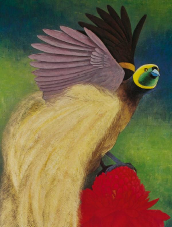 Plumes du paradis. Voyages d'un oiseau extraordinaire de Nouvelle-Guinée