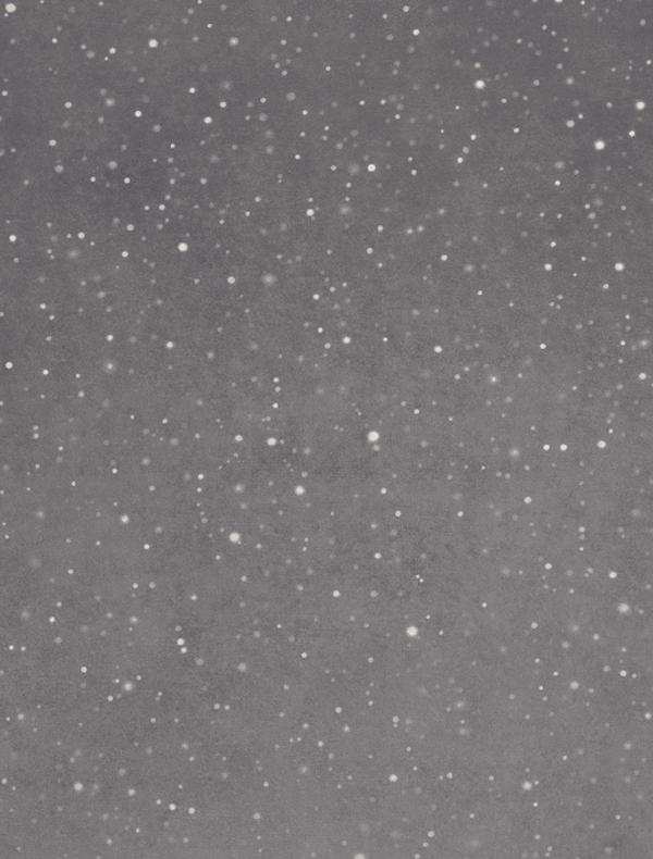 Vija Celmins