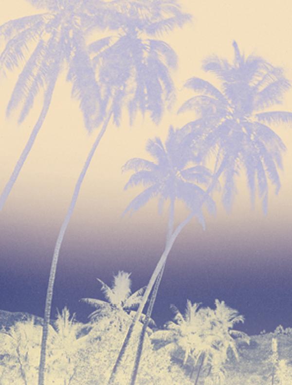 Voir Tahiti. Premières photographies 1859-1870
