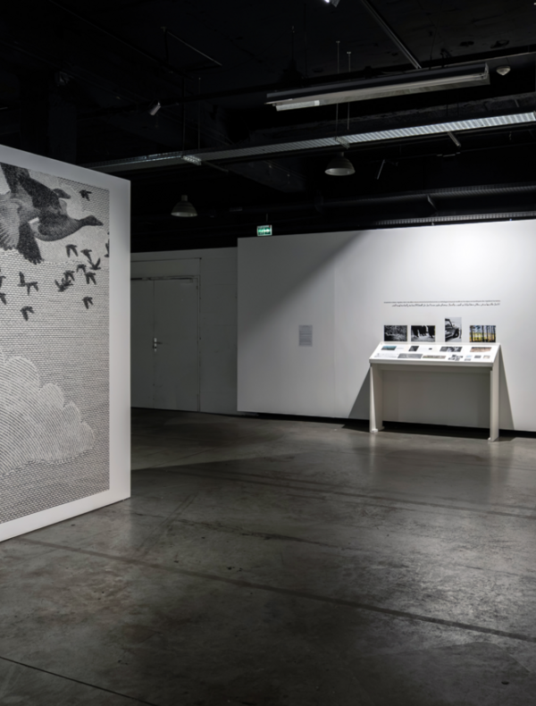 Birds Airlines, installation de Ziad Naitaddi