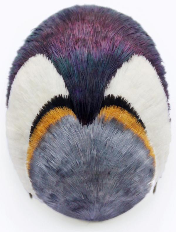 [EXPOSITION-FOCUS] Marion Delarue. Pierre, plume, ciseaux !