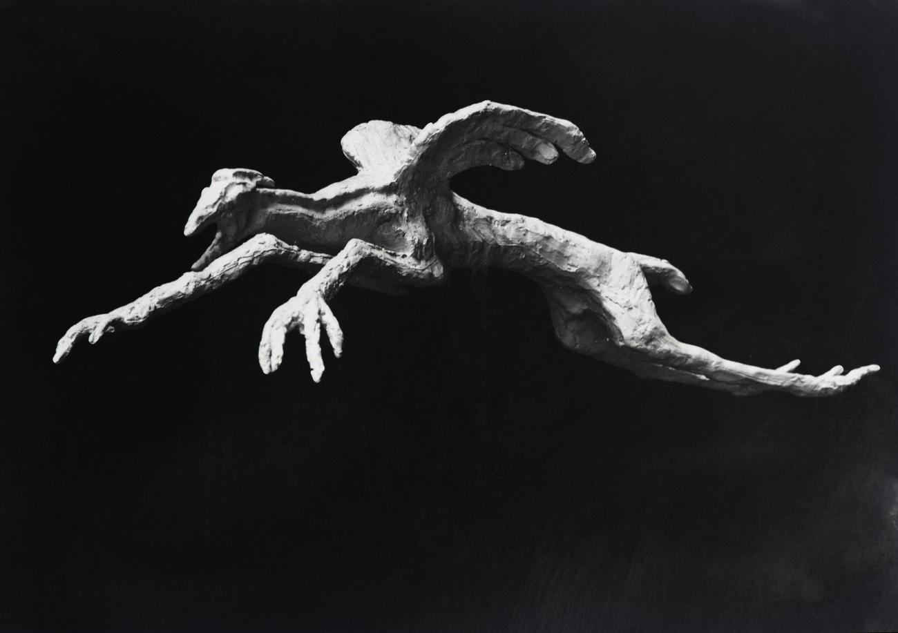 Chimère à tête d'oiseau et corps d'animal 1958 