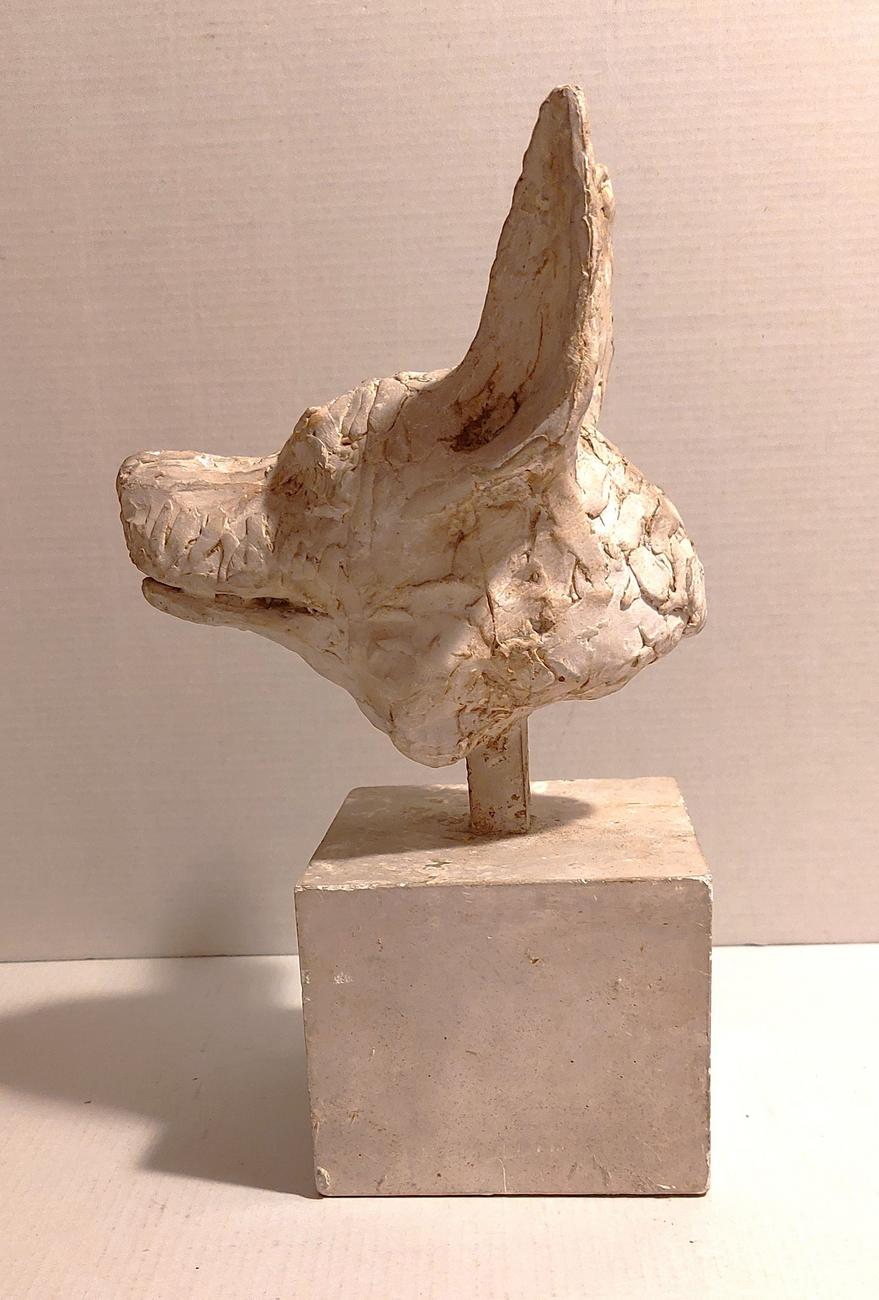 Tête de chien avec grandes oreilles pointues (1) (type berger allemand) H=14 cm hors socle, plâtre 