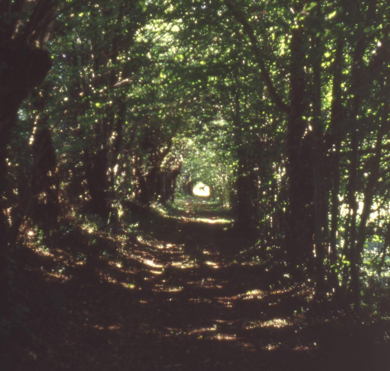 bernadette delrieu, Chemins n°04