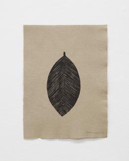 Sheroanawe Hakihiiwe, Pisha hena [Folha], 2021 Photo: Courtesy by Galería ABRA/María Teresa Hamon