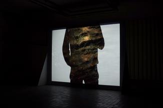 Parietales de Claire Hannicq