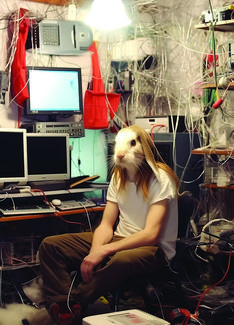 Lapin Blanc dans un bureau