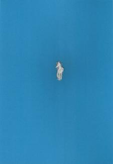 Paul Lepetit, Not so Blue, 2023