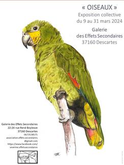 Exposition "Oiseaux"