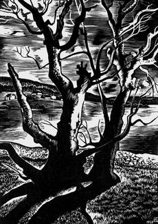 Pierre Aubert (1910–1987), Saules au lac de Joux, 1959, gravure sur bois de fil. Musée Jenisch Vevey – Cabinet cantonal des estampes, Fondation Pierre Aubert