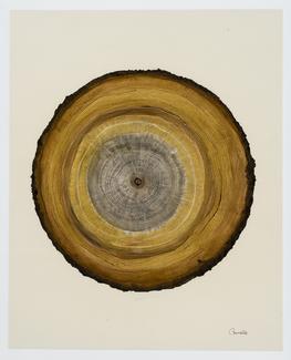 La série Boréale, réalisée de pigment, encre et acrylique sur carton, explore l’esthétisme, le symbolisme, la poésie de l’invisible et du sensible de la nature.