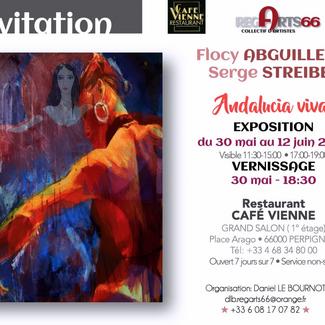 Andalousie Flamenco couleur dance 