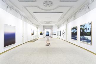 Vue in situ © Cyrille Cauvet