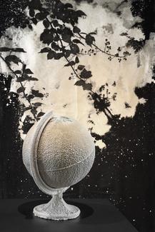 Exposition "Ouvrir une fenêtre sur le monde"