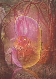 Visuel de l'exposition