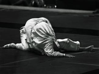 Helena Martins-Costa, Disparate JC, 2022