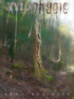 affiche de la performance "Xylophagie" de Côme Ferrasse