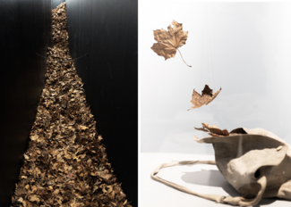 Image de gauche : Un couloir étroit aux parois noires remplies de feuilles mortes brunes qui s’étendent en profondeur, formant un tapis dense. La perspective centrale attire l'œil vers le fond du passage, créant une impression de profondeur et de confinement. L’ambiance est sombre et mystérieuse, évoquant peut-être un passage symbolique ou une installation artistique immersive. Image de droite : Trois feuilles mortes suspendues par des fils presque invisibles semblent flotter dans les airs, au-dessus d’un 