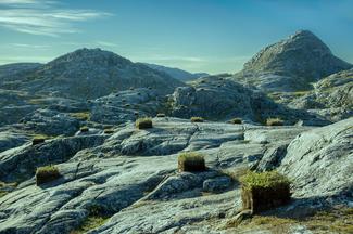 Inuk Silis Høegh, The Green Land, 2021 (still frame of video) 