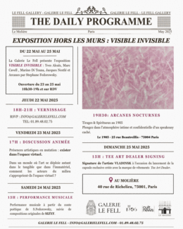 Programme Visible Invisible
