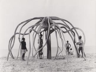 Frans Krajcberg, A flor do mangue, circa 1970. Instituto do Patrimônio Artístico e Cultural da Bahia (IPAC). Photo: Unknown