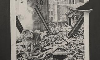 João Vilhena, Detail, Predizione Perdizione, Galleria Alberta Pane, 2025