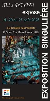 affiche exposition singulière