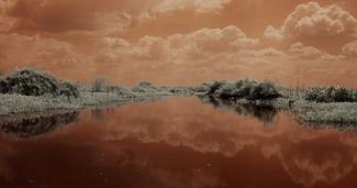 Tania Ximena, 2024, La Marcha del Líquen [The March of the Lichen] (vídeo still)