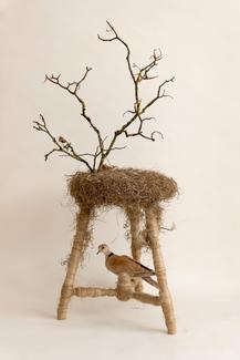 Métamorphose végétale