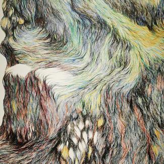 technique/matériaux: feutres à encres pigmentaires sur papier Arches 300g